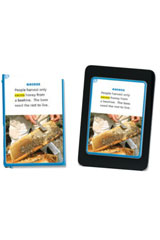 Vocabulary In Context Cards Grade 1-9780547866604