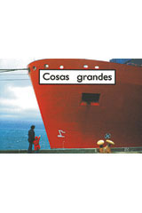Leveled Reader 6pk magenta basicos (magenta) Cosas grandes (Big Things)-9780757806629