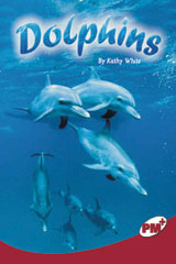 Individual Student Edition Ruby (Levels 27-28) Dolphins-9780757869136
