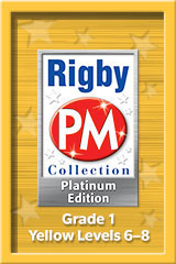 Teacher's Guide Yellow (Levels 6-8)-9781418904296